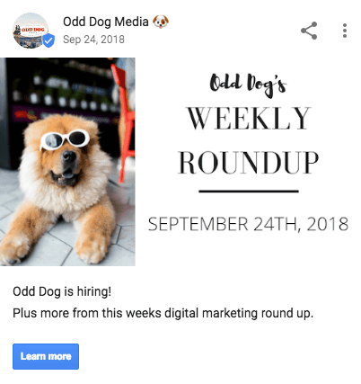 Google My Business Post from Odd Dog Media