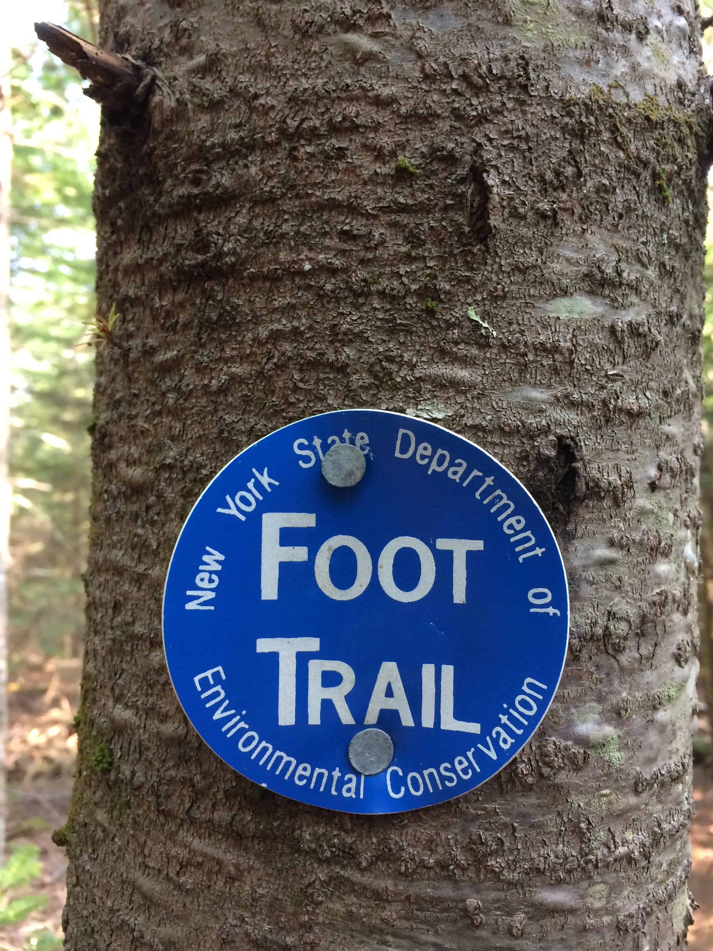 blue Adirondack trail marker